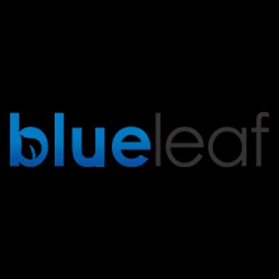 BlueLeaf